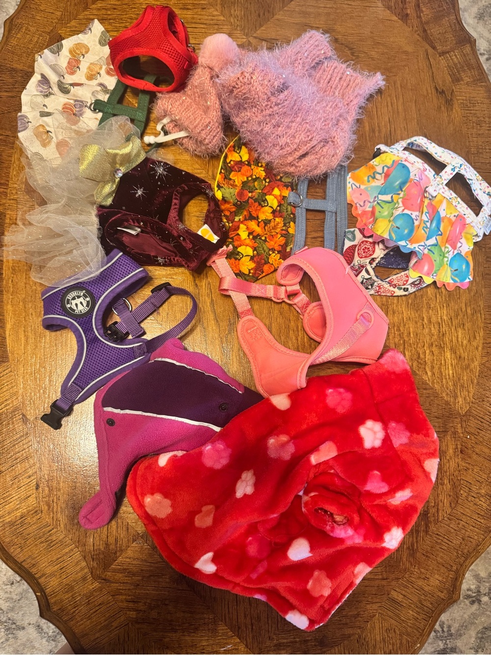 Lot of 12 XS Dog Items